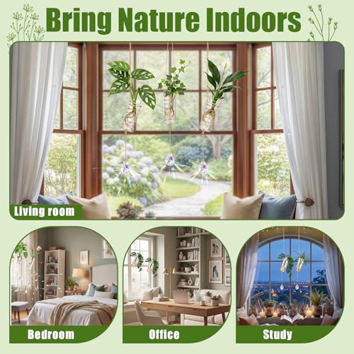 Sieral 3 Set 3 Set Hanging Propagation Stations with Crystal Suncatchers