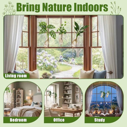 Sieral 3 Set 3 Set Hanging Propagation Stations with Crystal Suncatchers