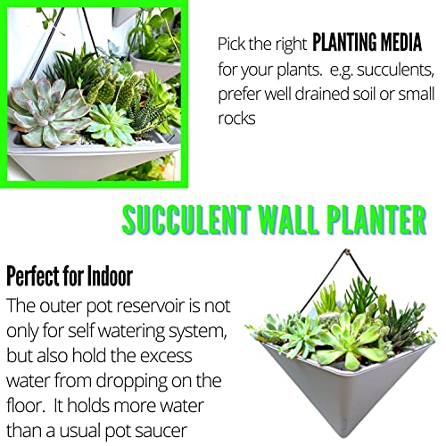 LaLaGreen Wall Planter (12in, 4 Pack) Large Indoor Self Watering Flower Pot - color: White X 2 Pack & Gray X 2 Pack