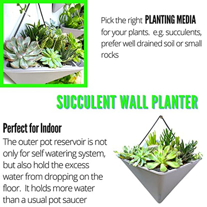LaLaGreen Wall Planter (12in, 4 Pack) Large Indoor Self Watering Flower Pot - color: White X 2 Pack & Gray X 2 Pack