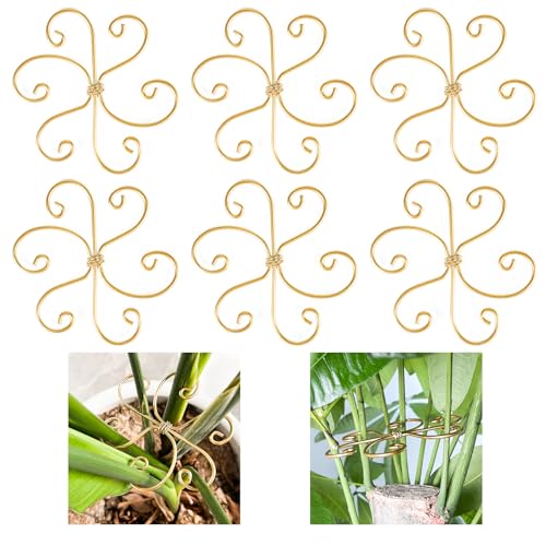 6pcs Plant Stem Support, Iron Monstera Plants Support, Plant Stem Holder - color: Gold-6pcs