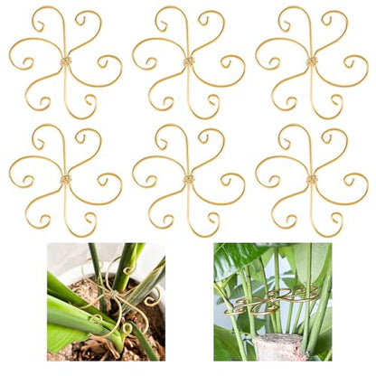 6pcs Plant Stem Support, Iron Monstera Plants Support, Plant Stem Holder - color: Gold-6pcs