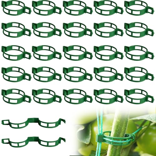 120Pcs Plant Support Clips, Tomato Clips for Climbing Plants, Reusable Plastic Garden Trellis Clips for Vine Vegetables Grape Tomato Cucumber to Grow Upright Healthier - color: Green