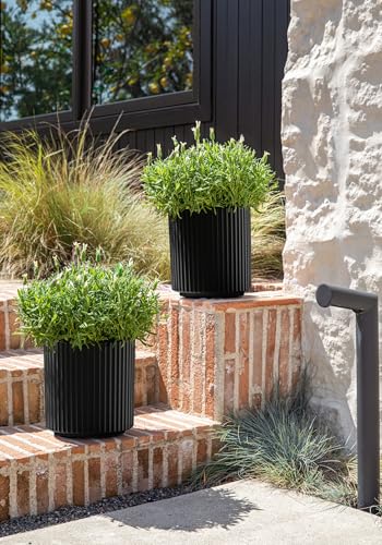 Veradek Demi Series Planter - Large Round Outdoor Planter - color: Black, size: 12 inch - 2 Pack