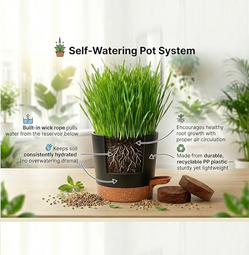 House Tiger Cat Grass Kit | Aids Digestion, Hairball Control & Oral Health | The Complete Kit Includes Nutrient-Rich Cat Grass Seed, Self-Watering Stay Fresh Pot & Eco Friendy Coco Coir Soil Discs - size: Starter Kit