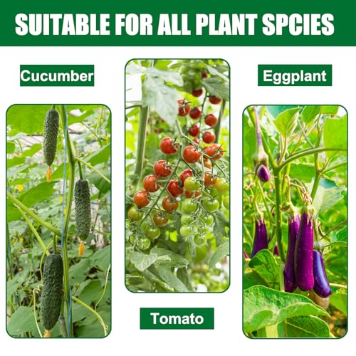 25 Pack 30 Inch Garden Stakes for Vegetables,Peppers & Flowers - size: 30 Inches