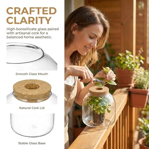 NUOBESTY Glass Terrarium Jar with Cork Lid, Hydroponic Plant Propagation Vase, Clear Round Betta Fish Bowl Tank for Moss Succulent Indoor Desktop Home Decor