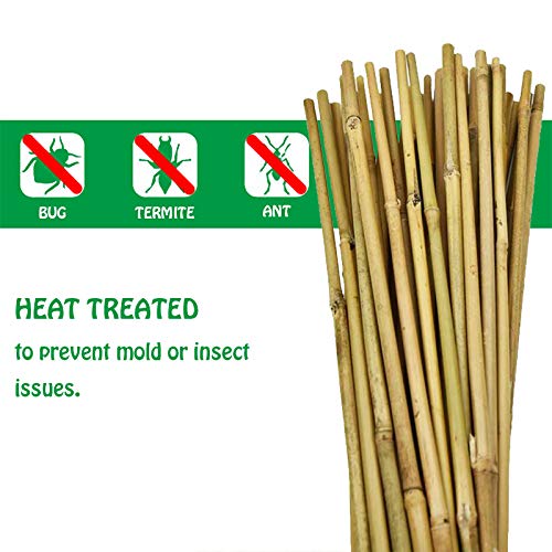 Mininfa Natural Bamboo Stakes 57 Inch (Approx 5 FEET), Eco-Friendly Garden Stakes, Plant Stakes Supports Climbing for Tomatoes, Trees, Beans, 20 Pack