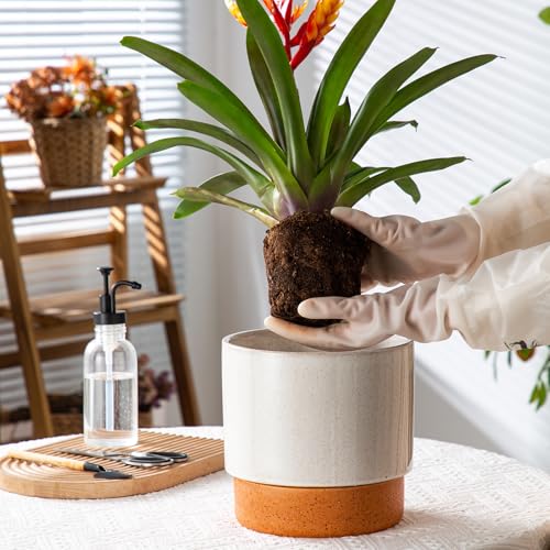 8 Inch Ceramic Self Watering Planter with Drainage Hole, Grey - color: Gray, size: Medium