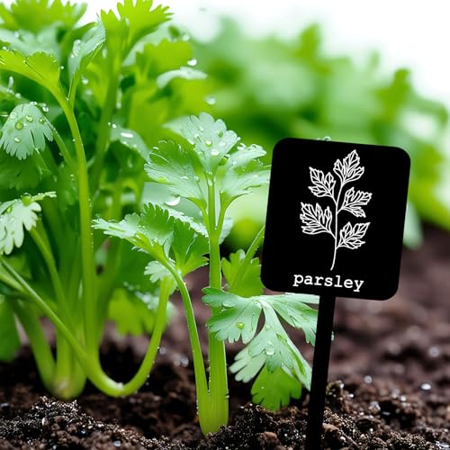 Whaline 24 Pcs Acrylic Plant Label Signs Garden Herb Markers, Black - color: Black