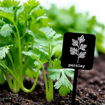 Whaline 24 Pcs Acrylic Plant Label Signs Garden Herb Markers, Black - color: Black