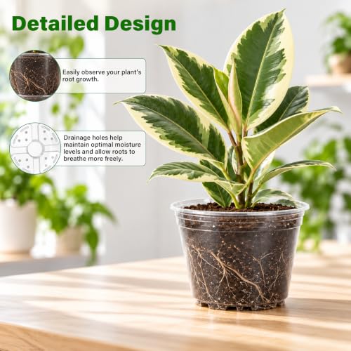 Bluepro Clear Nursery Pots with Drainage Holes, 6/8/10/12 Inch, 20-Pack - size: 6/8/9.5/12 Inch-20Pcs