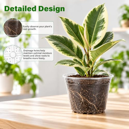 Bluepro Clear Nursery Pots with Drainage Holes, 6/8/10/12 Inch, 20-Pack - size: 6/8/9.5/12 Inch-20Pcs