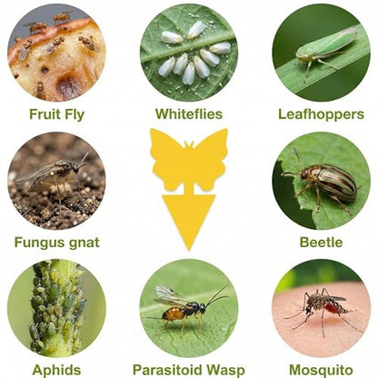 96 Pack Fruit Fly Sticky Trap - Gnats Insect Traps for Indoor Outdoor, Yellow Double-Sided Sticky Insect Catchers Fungus, Fruit Flies, Whiteflies, Aphids, Leaf Miners - size: 96P