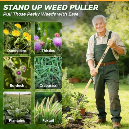 Stand Up Weed Puller Tool with Bamboo Long Handle for Garden - color: Bamboo brown