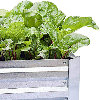 Galvanized Raised Garden Bed 6x3x1ft 2-Pack - size: 6x3x1ft (2 pcs)