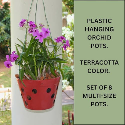 Set of 8 Strong Thick Plastic Hanging Orchid Pots with Holes and Hangers. 2 Each of 9 Inches Wide, 7.5 Inches, 6.5 Inches, 5.5 Inches, Orchid Pots for Repotting, Orchid Planters