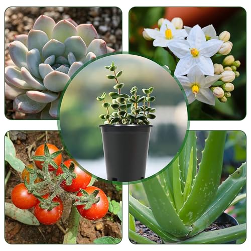 HOSTIC 7 Gallon pots for Plants 7 Gallon Flexible Nursery Pots Gallon Pot with Drainage Holes Plastic Plant Large Container Suitable for Indoor Outdoor Vegetables Flowers Plants 10 PCS - size: Standard 7 Gallon