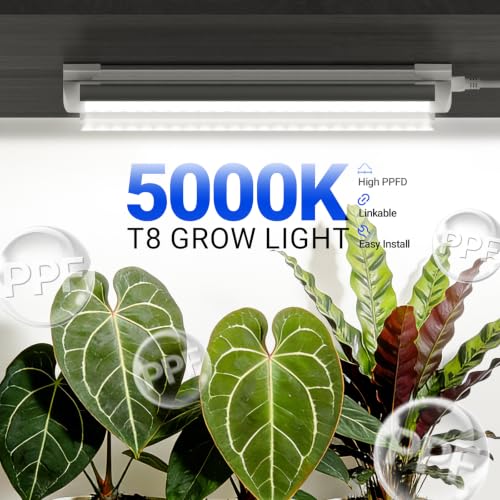 Barrina T8 1FT Grow Light, 5000K Full Spectrum LED Grow Light Strip, 6 Pack - size: 1FT