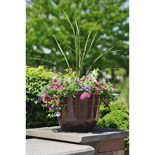Garden Elements Indoor/Outdoor Glazed Brushed Happy Plastic Planter, Large, Dark Brown, 15" - color: Dark Brown