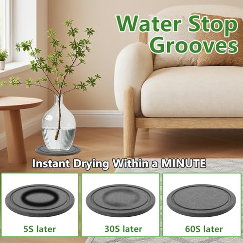 Augshy Plant Saucers 2Pcs 8in Diatomaceous Earth Instant Dry Tray for Plant - size: 8 Inch