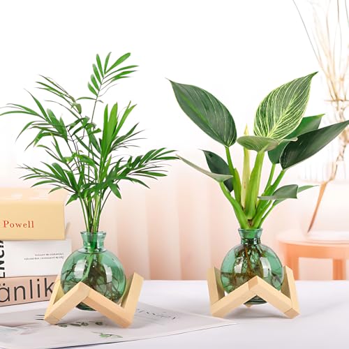 Cute Plant Propagation Station Glass Bulb Water Vases Green Office Decor - color: Green