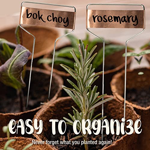 Metal Plant Labels for Garden, Waterproof Markers Outdoor Use, 25 Pack 10"