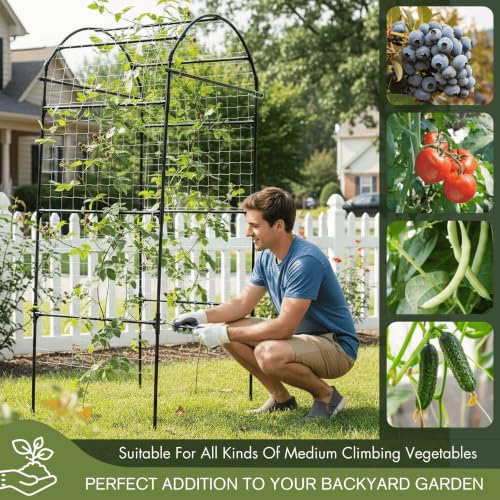 79" Tall Metal Cucumber Trellis Arch Sturdy Frame for 4FT Raised Garden Bed - size: 33"L x 33"W x 79"H