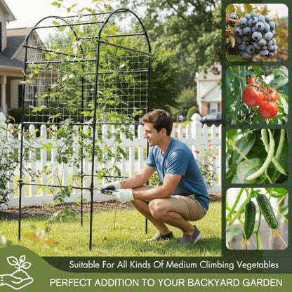 79" Tall Metal Cucumber Trellis Arch Sturdy Frame for 4FT Raised Garden Bed - size: 33"L x 33"W x 79"H