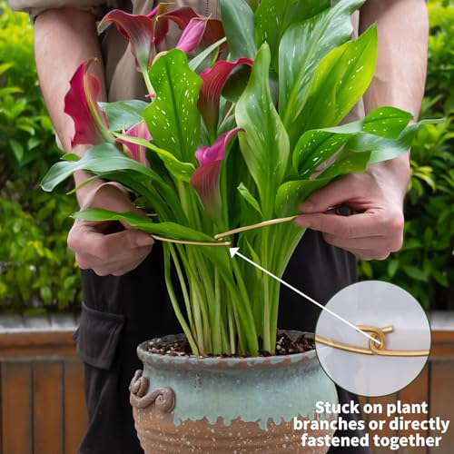 5PCS 10 * 9.3In Monstera Plant Support Stem-Ideal for Indoor Plants - size: 11x9.4inches