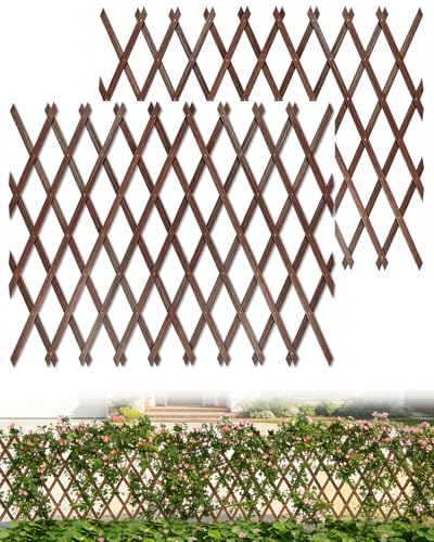2 Pack Expandable Wooden Lattice Fence Panel, 3.2 x 6.1 Ft - color: 2 Pack, size: 3.2 x 6.1 ft
