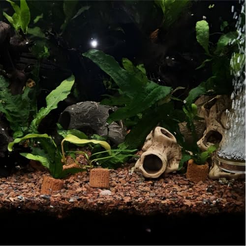 10-Pack 25mm Aquatic Plant Ring Base for Aquarium Pots