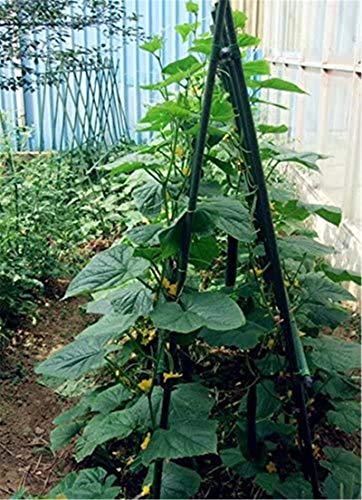 25 Pack 24 Inch Plant Stakes for Peppers & Potted Plants - size: 24 Inches