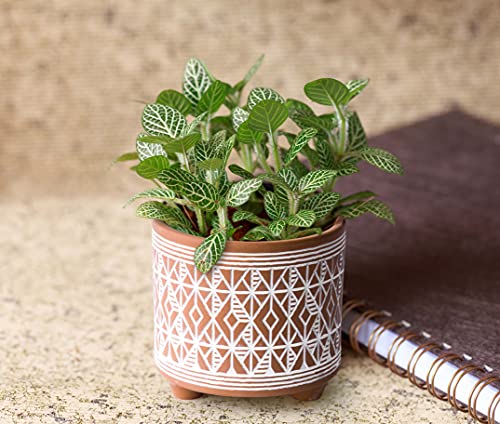 D'vine Dev 2-Pack Terracotta Pots, 4/6 in, Savanna Weave, 31-953-G-1 - style: Savanna Weave