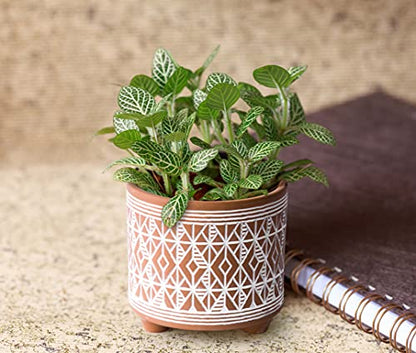 D'vine Dev 2-Pack Terracotta Pots, 4/6 in, Savanna Weave, 31-953-G-1 - style: Savanna Weave