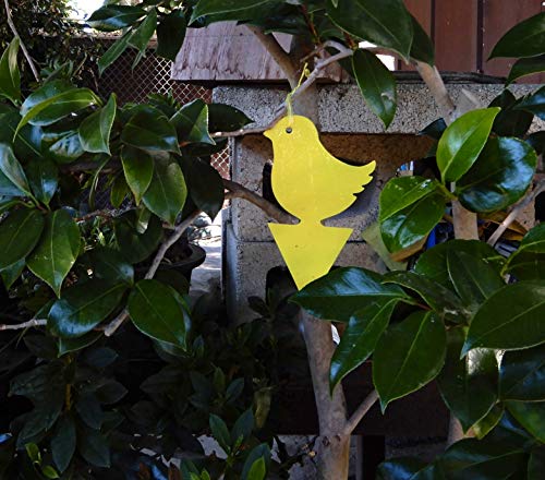 Yellow Sticky Fly Traps (25 Pack) for Gnat Whitefly Fungus Gnat Aphid Small Insects - Houseplant Disposable Glue Trappers - Bug Catcher - Bird Shape - color: Bird 25 Pack