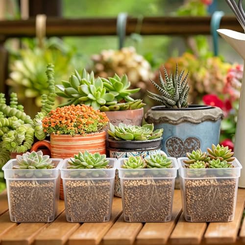 240 Pcs 3" Clear Square Nursery Pots, Seed Starter with Drainage Holes - color: Clear