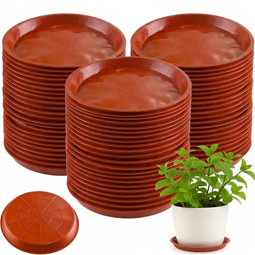 30 Pack Plant Saucer 10 Inches Plastic Drip Trays to Catch Water, Red - color: Red, size: 10 inch