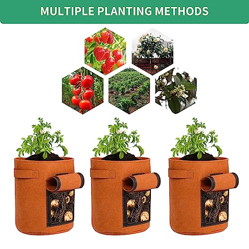 5-Pack 7 Gallon Grow Bags with Harvest Window 300g Thickened Nonwoven Fabric Heavy Duty Plant Pots Easy for Vegetables, Potato, Tomatoes Carrots Gardening Containers with Handles Orange - size: 7GAL-ORG