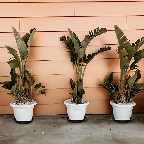 OUPSAUI 5 Pack 4 10 12 14 16 18 20 22 Inch Plant Saucer, Plant Trays for Pots, Large Plastic Plant Saucers for Indoors, No Holes Planter Drip Tray (22 inch) - size: 22 Inches