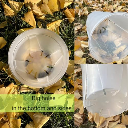 Clear Plant Nursery pots with Saucers,5/6/7/8 inch 8 Pack - size: 5/6/7/8 inch with trays