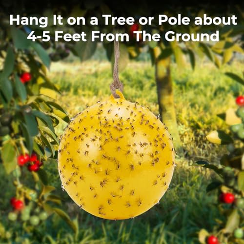 2 Pcs Large Fly Trap Balls Hanging Fruit Fly Traps Outdoor Adhesive Insect Balls with Sticky Coating Glue Air Pump Insect Catch Sticky Bug for Farm Orchard Hornet Deerflies Mosquito (Yellow)