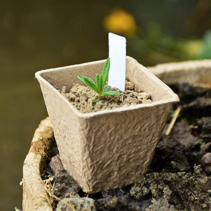 winemana Seed Starter Peat Pots,Biodegradable with Humidity Dome and Labels For Plant Nursery, Seedlings Planting For Indoor Outdoor Garden (Square)36 Set - size: Square