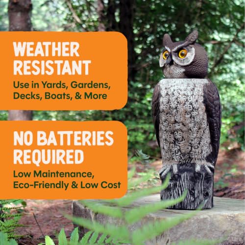 GARDENEER Dalen SOL-R Action Large Solar Fake Owl Decoy to Scare Birds Away - 18" Tall - 360º Rotating Head - style: Solar Powered Great Horned Owl