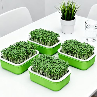 Plastic Double-Layer Plant Growing Nursery Pots Vegetable Flower Seedlings Tray Soilless Germination Plate Garden Tools,16.5 * 10.5 * 5.5cm(3 pcs) - color: 3 Pcs