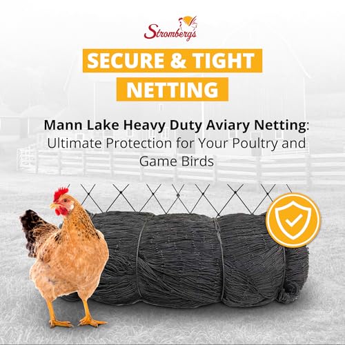 Stromberg's 2" Mesh Heavy Duty Knotted Aviary Netting, 50' x 50' - style: 2" Netting - 50' x 50'