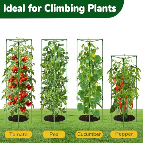 ZeeDix 65 Inch Heavy Duty Tall Tomato Cages for Garden 2 Pack - size: 65"-2 Pack