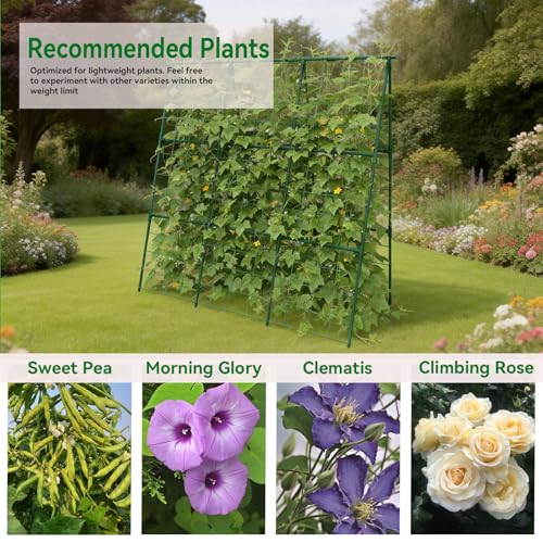 Cucumber Trellis 49.4"*49.4" Metal Garden Trellis for Climbing Plants,Green - size: 50"*32"*50"-G