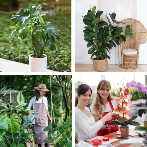 Yhtpouqe 12 Pack Plant Support Stakes, Plant Stakes for Indoor and Outdoor Plants. 39.37inch Plant Sticks with Extension Poles, Plant Clips, Plant Ties for Potted Monstera Plants, Climbing Plants - size: 39.37"- 12 Pack