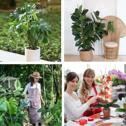 Yhtpouqe 12 Pack Plant Support Stakes, Plant Stakes for Indoor and Outdoor Plants. 39.37inch Plant Sticks with Extension Poles, Plant Clips, Plant Ties for Potted Monstera Plants, Climbing Plants - size: 39.37"- 12 Pack